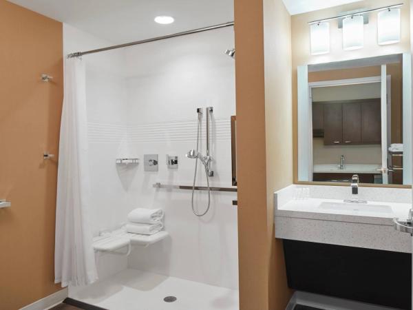 TownePlace Suites by Marriott Columbus North - OSU : photo 7 de la chambre studio lit king-size avec canapé-lit