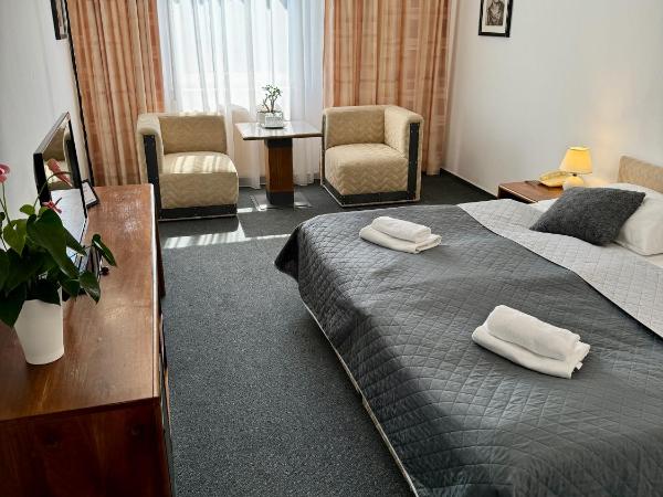 A-Austerlitz Hotel : photo 5 de la chambre chambre double ou lits jumeaux