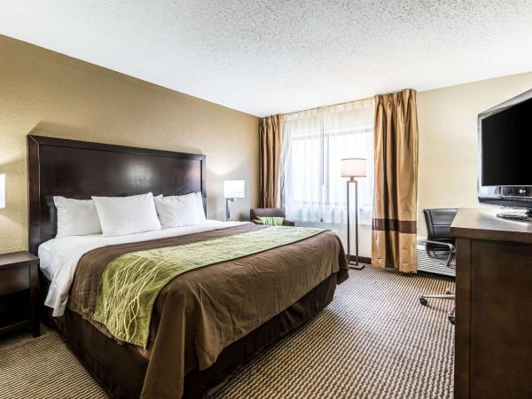 Comfort Inn Downtown : photo 1 de la chambre chambre lit king-size avec baignoire spa - non-fumeurs