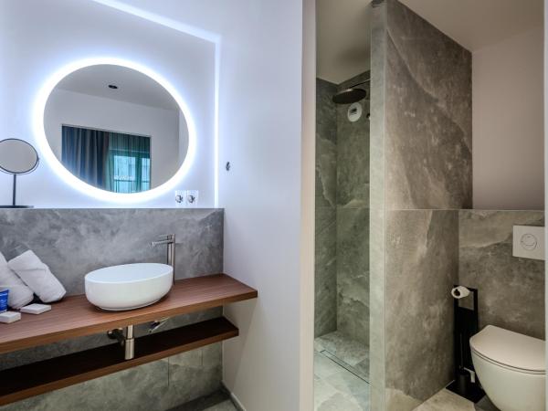 Hôtel Anne de Bretagne : photo 6 de la chambre deluxe double room with partial sea view