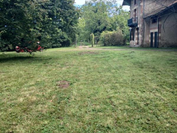 Château de Maucouvent : photo 4 de la chambre double room with patio (annex)