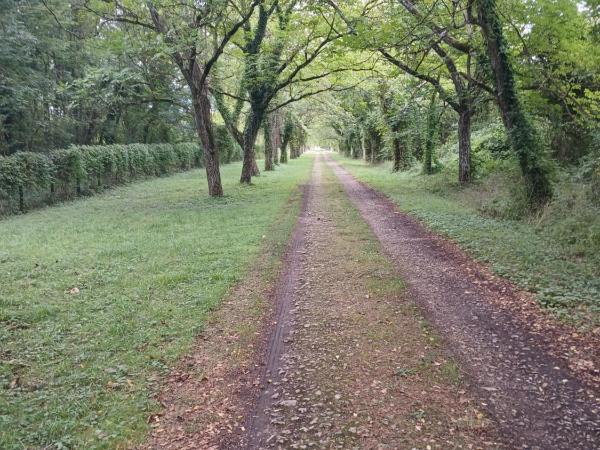 Château de Maucouvent : photo 10 de la chambre double room with patio (annex)