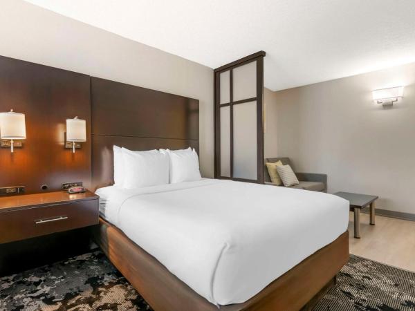 Comfort Inn & Suites Near Universal Orlando Resort-Convention Ctr : photo 7 de la chambre suite avec 2 lits queen-size et canapé-lit - non-fumeurs