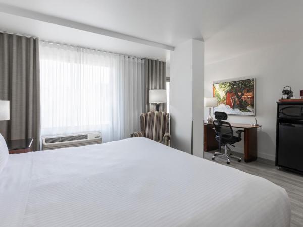 Le Nouvel Hotel : photo 4 de la chambre chambre lit king-size