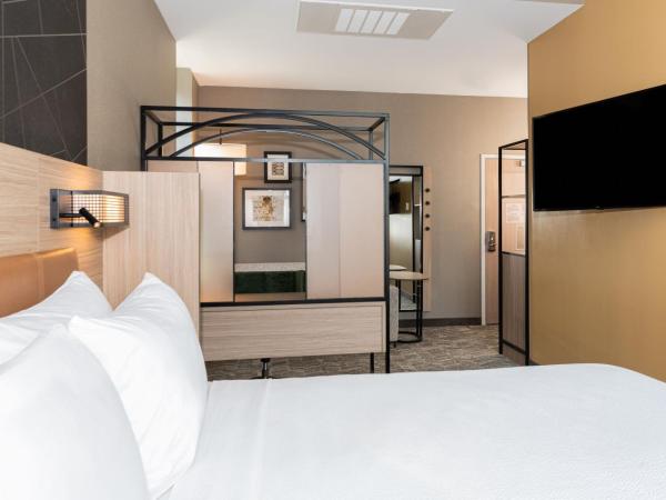 SpringHill Suites by Marriott Baltimore Downtown Convention Center Area : photo 5 de la chambre suite lit king-size avec canapé-lit