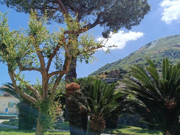 Residence Villa Olivia : photo 3 de la chambre appartement 1 chambre - vue sur mer