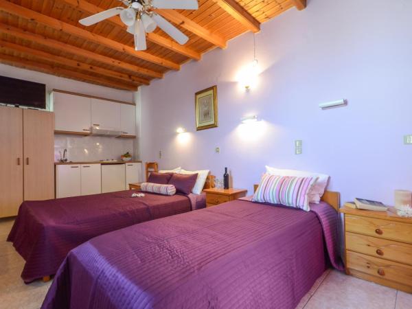 Panormos Hotel and Studios : photo 4 de la chambre studio (4 adultes)