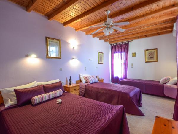 Panormos Hotel and Studios : photo 1 de la chambre studio (4 adultes)