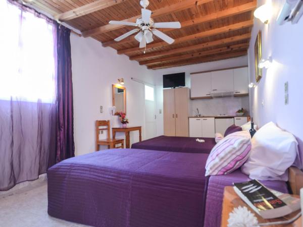 Panormos Hotel and Studios : photo 6 de la chambre studio (4 adultes)