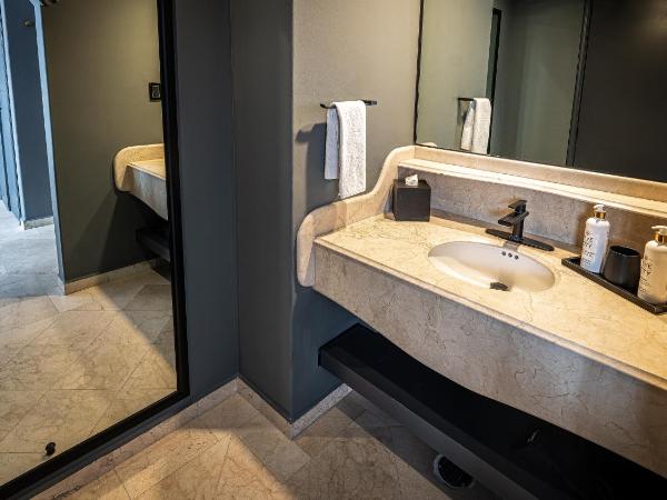 Hive Mexico City by G Hotels : photo 1 de la chambre chambre lit king-size