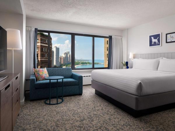 Sonesta ES Suites Chicago Downtown Magnificent Mile Medical : photo 1 de la chambre suite studio lit king-size - vue sur lac