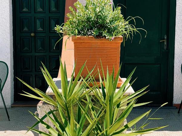 Hotel Lord Byron : photo 3 de la chambre chambre double supérieure