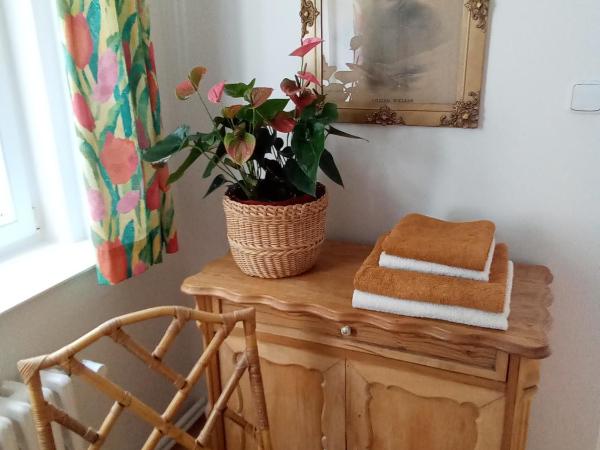 Pension Baron Schoeneck : photo 8 de la chambre appartement 2 chambres