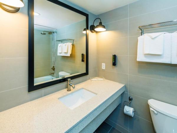 Banff Inn : photo 5 de la chambre chambre avec 2 grands lits queen-size