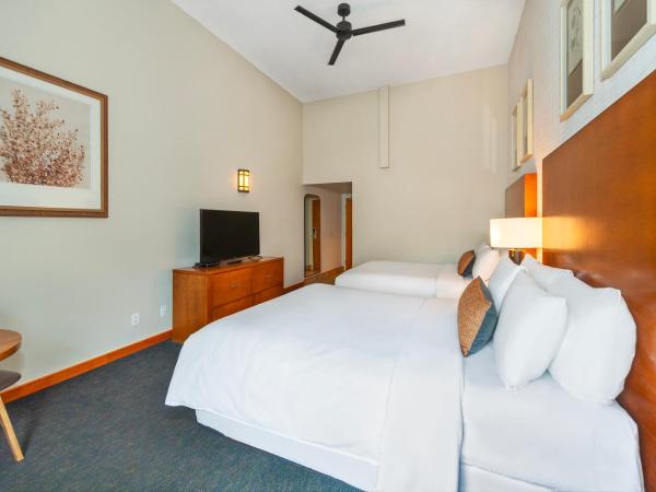 Banff Inn : photo 2 de la chambre chambre supérieure avec 2 lits queen-size