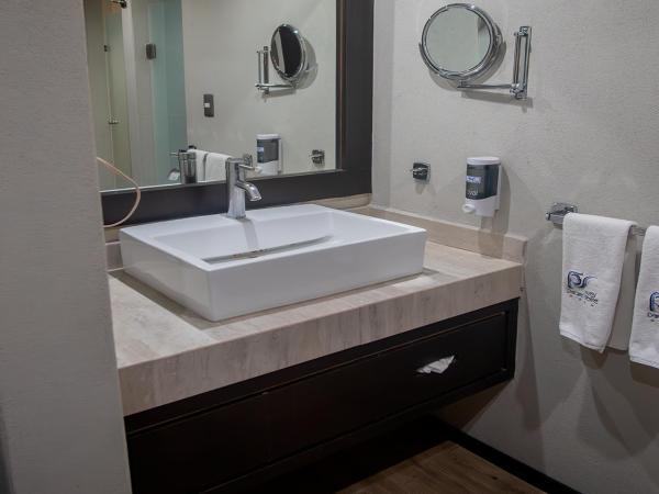 Hotel Parque Satelite : photo 4 de la chambre chambre double avec 2 lits doubles