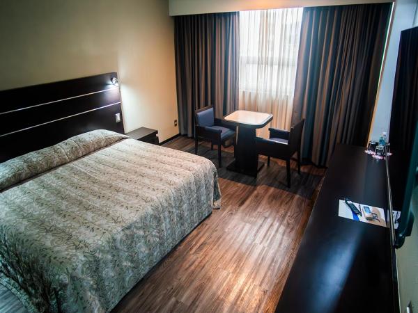 Hotel Parque Satelite : photo 1 de la chambre chambre lit king-size