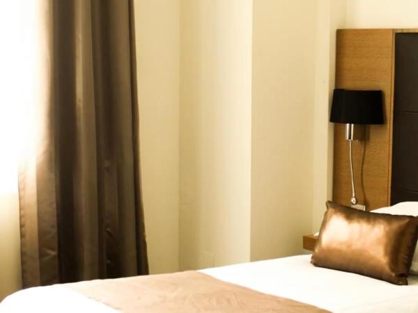 Hotel Restaurant du Centre et du Lauragais : photo 5 de la chambre chambre double ou lits jumeaux