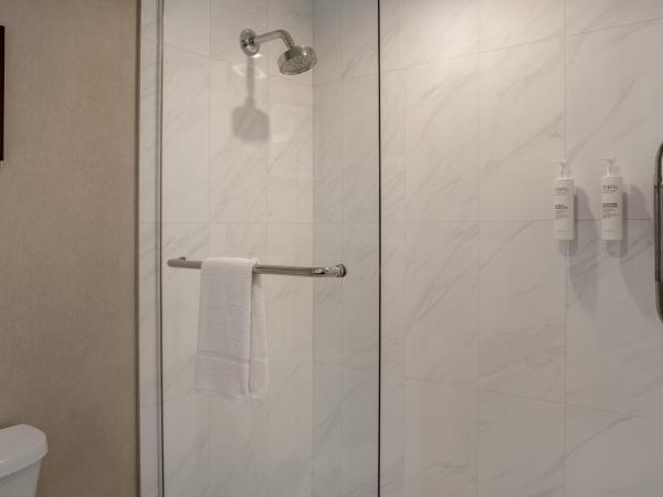 Hampton Inn By Hilton Winnipeg Downtown : photo 6 de la chambre king room with microwave and fridge