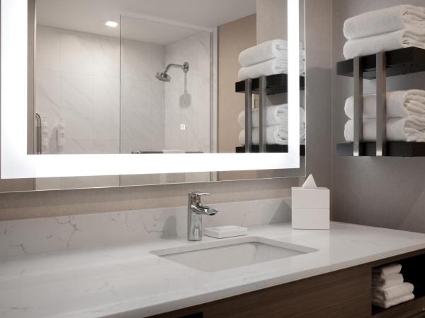 Hampton Inn By Hilton Winnipeg Downtown : photo 5 de la chambre suite studio lit king-size