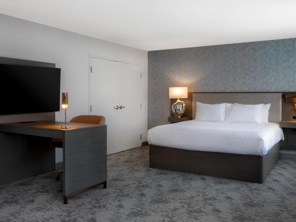 Hampton Inn By Hilton Winnipeg Downtown : photo 2 de la chambre suite studio lit king-size