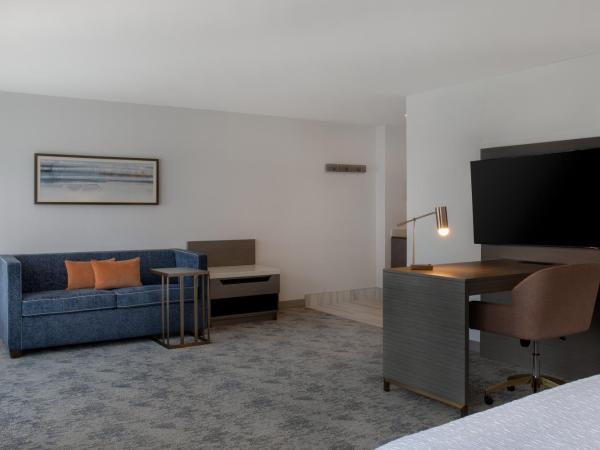 Hampton Inn By Hilton Winnipeg Downtown : photo 3 de la chambre suite studio lit king-size