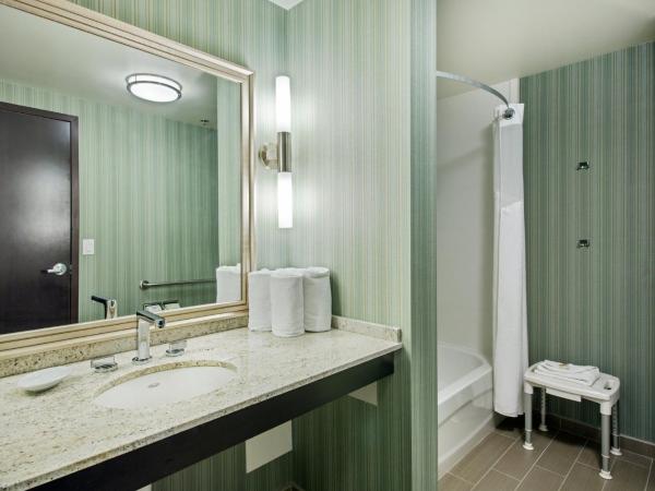 Holiday Inn Saskatoon Downtown, an IHG Hotel : photo 5 de la chambre chambre lit king-size standard avec baignoire accessible aux personnes à mobilité réduite - adaptée aux personnes à mobilité réduite