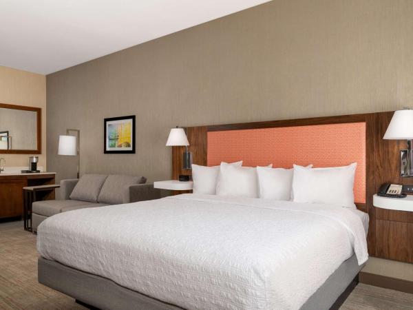 Hampton Inn & Suites Sacramento-Auburn Boulevard : photo 2 de la chambre suite studio lit king-size avec canapé-lit – non-fumeurs
