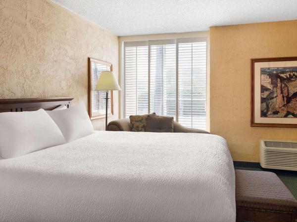 Ramada by Wyndham Tucson : photo 1 de la chambre suite 1 chambre lit king-size de luxe - non-fumeurs