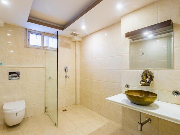 Hotel Goodwill Pvt Ltd : photo 3 de la chambre chambre deluxe