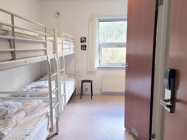 Aarhus Hostel og Hotel : photo 5 de la chambre chambre quadruple