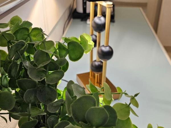 Atlantis Boutique City Hotel : photo 2 de la chambre chambre double ou lits jumeaux deluxe supérieure