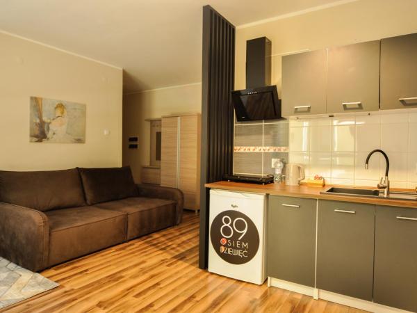 Piotrkowska 89 Apartments & Suites : photo 3 de la chambre studio