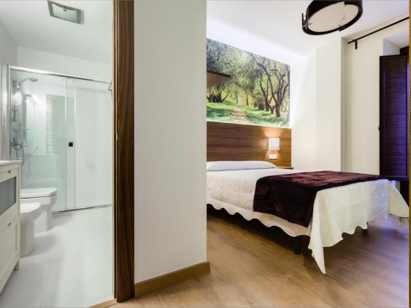 Hostal Arriola : photo 3 de la chambre chambre double avec salle de bains privative
