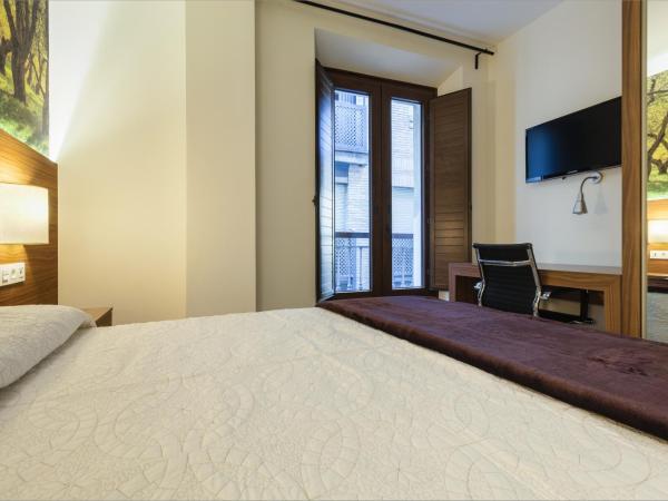 Hostal Arriola : photo 4 de la chambre chambre double avec salle de bains privative