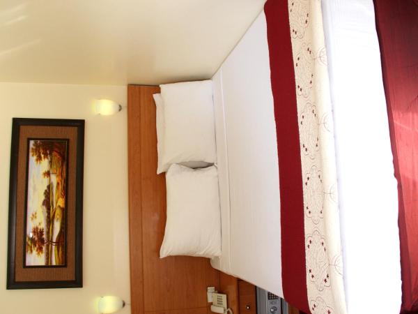 Al Ahrar Hotel : photo 3 de la chambre chambre lit king-size