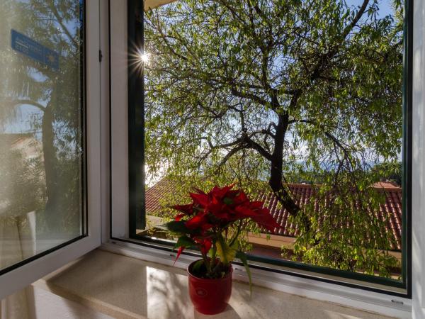 B&B Villa Dubrovnik Garden : photo 9 de la chambre chambre double - vue sur mer