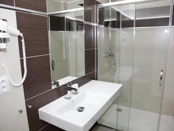 Pension Dvořák : photo 2 de la chambre chambre simple classique