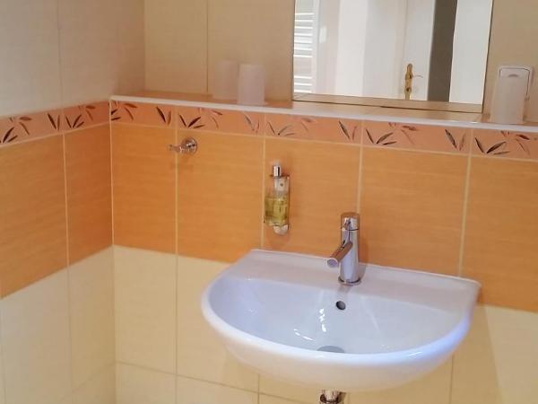 Old Prague House : photo 3 de la chambre suite 1 chambre avec canapé-lit