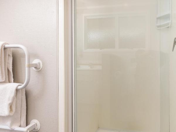 Phoenix Thermal Resort - Taupo : photo 6 de la chambre appartement 1 chambre