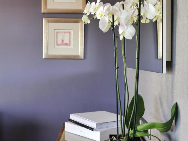 The Y Hotel : photo 6 de la chambre chambre double exécutive