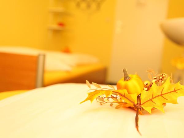 Hotel-Pension Insor : photo 3 de la chambre chambre double ou lits jumeaux