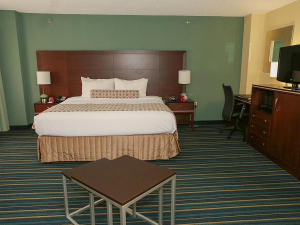 Crowne Plaza Hotel Virginia Beach-Norfolk, an IHG Hotel : photo 7 de la chambre chambre standard