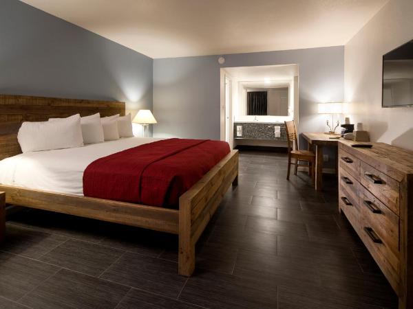Thunderbird Boutique Hotel : photo 4 de la chambre chambre lit king-size simple accessible aux personnes à mobilité réduite
