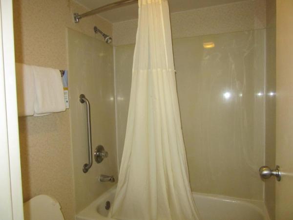 Quality Inn Fort Jackson : photo 8 de la chambre chambre lit king-size pour personnes à mobilité réduite - non-fumeurs