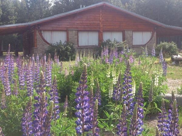 Posada del Angel : photo 1 de la chambre bungalow (2 adultes + 3 enfants)