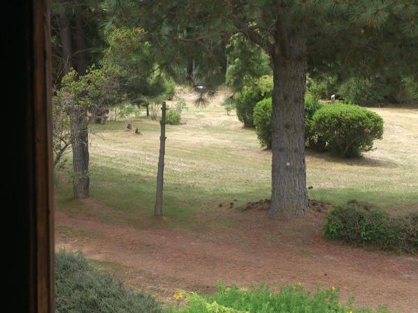 Posada del Angel : photo 9 de la chambre chambre double standard