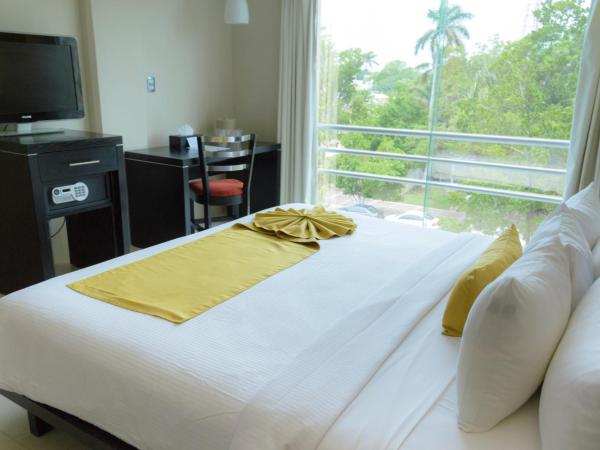 Hotel El Español Paseo de Montejo : photo 6 de la chambre chambre lit king-size deluxe