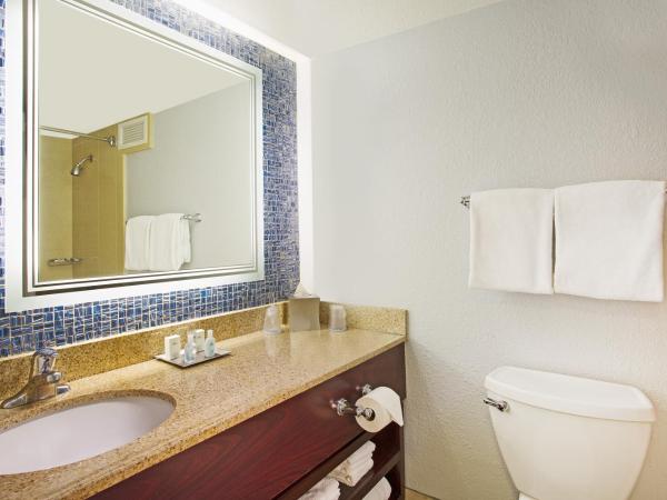 Wyndham Lake Buena Vista Resort Disney Springs® Resort Area : photo 2 de la chambre chambre lit king-size - vue sur lac