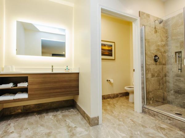 Palace Inn Blue City Centre : photo 4 de la chambre chambre lit king-size supérieure